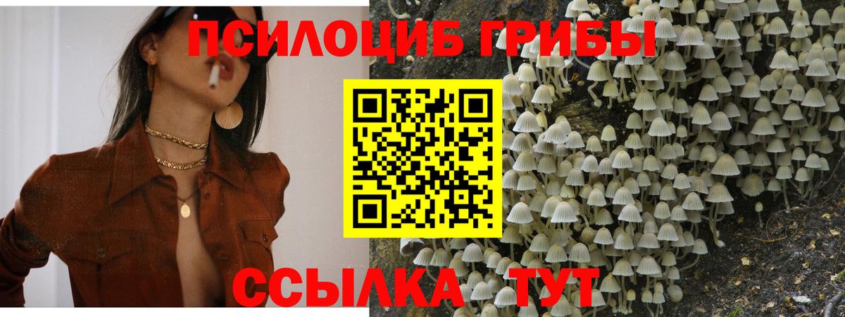 Галлюциногенные грибы ЛСД Домодедово